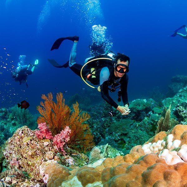Scuba diving in Nosy Be and Nosy Komba waters