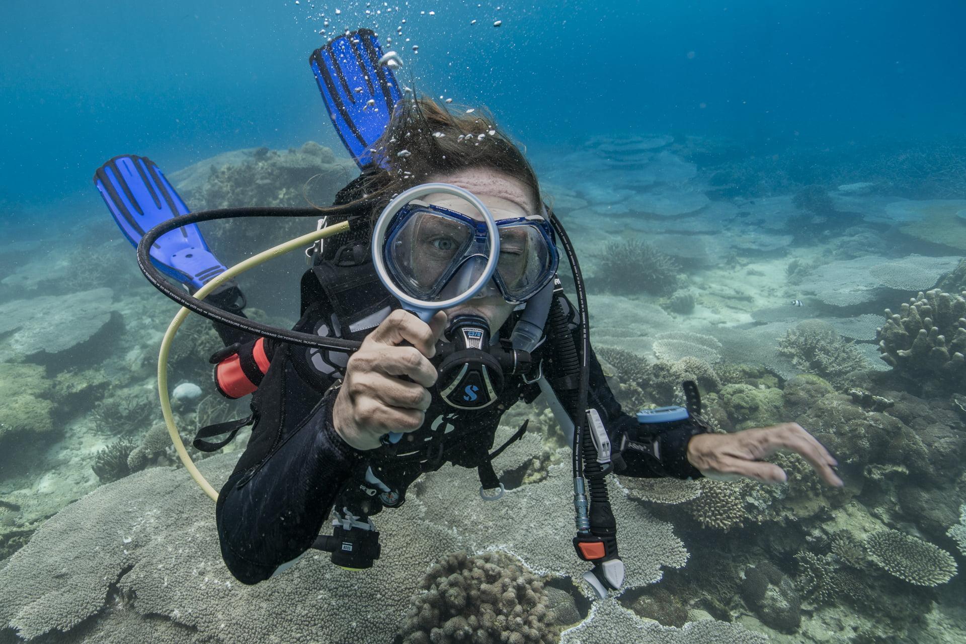 Nosy Tanikely and Sakatia excursion by boat