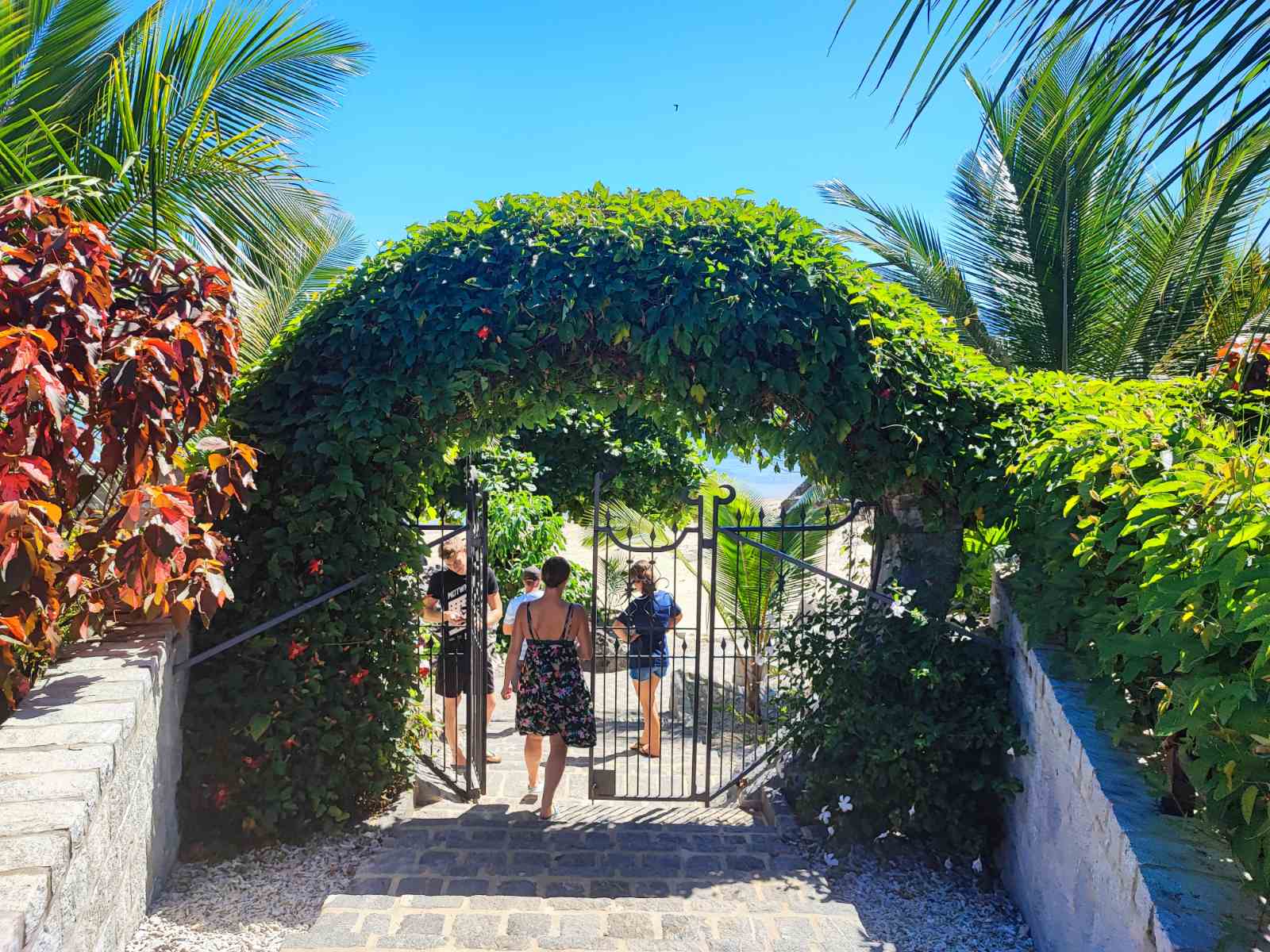 Madagascar flora and fauna in a lush island setting
